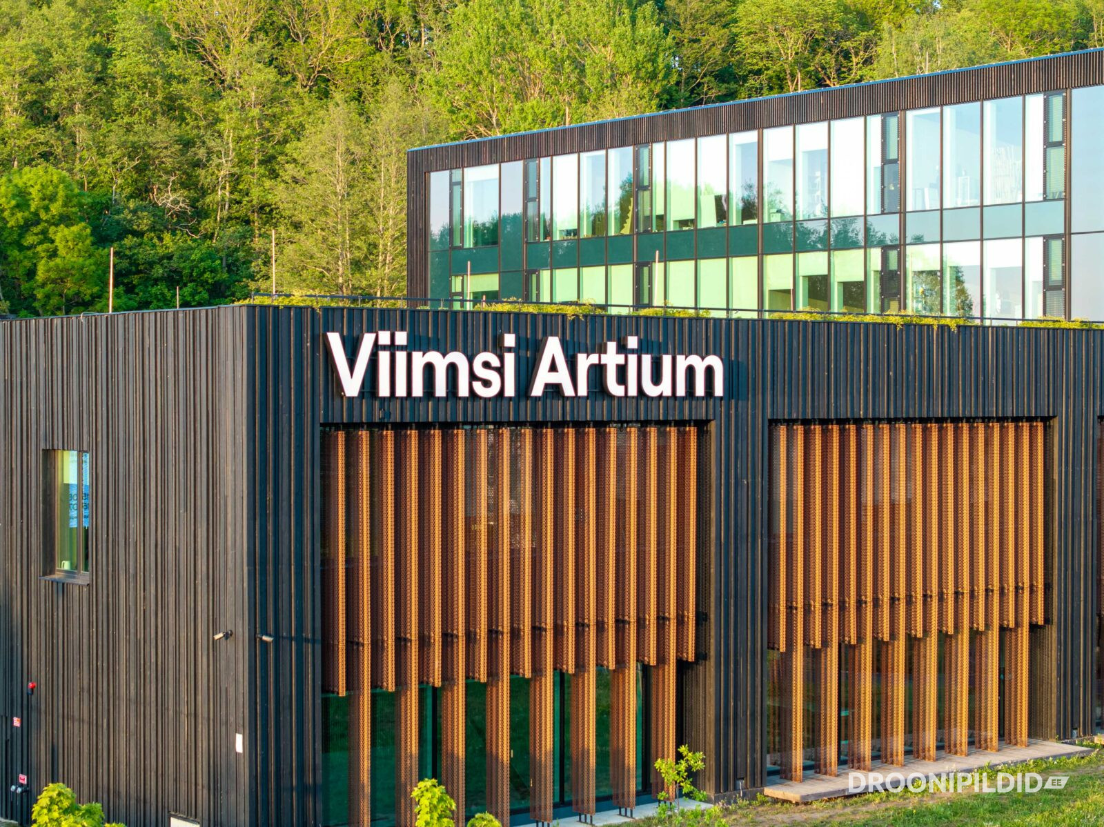 Viimsi Artium, Viimsi, Artium, Kultuuri- ja hariduskeskus Viimsi Artium, Viimsi kultuurikeskus, Visit Viimsi, arhitektuuripildid, arhitektuurifotograafia