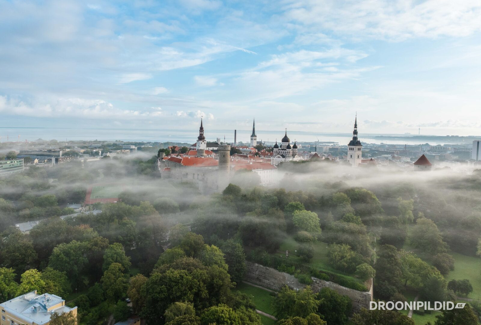 Toompea, Toompea Udus, Vanalinn, Tallinna vanalinn, Udune vanalinn, Toompea, Pikk Hermann, Pikk hermann udus, sügisudu, Tallinn, visitestonia, vanalinna siluett, Tallinn OId Town, Foggy Tallinn Old Town, 