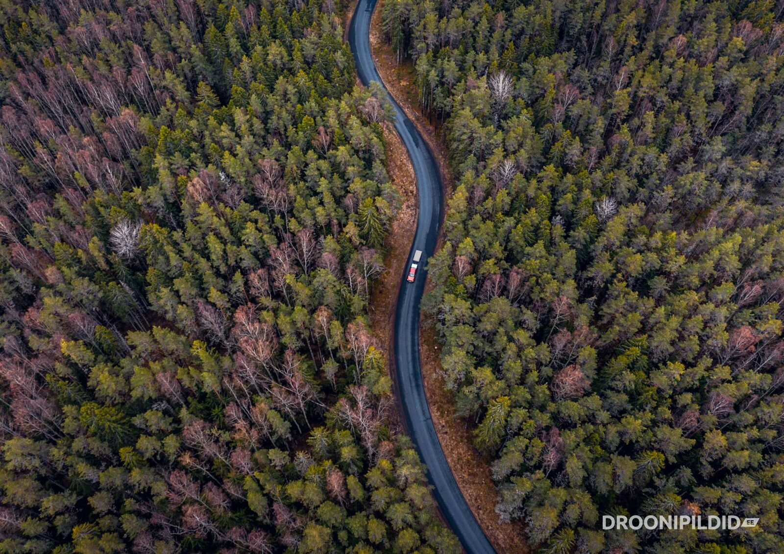 Kevad, kevadpildid, droonipildid, droonipilt kevadest, eesti mets, visit estonia, estonia drone nature